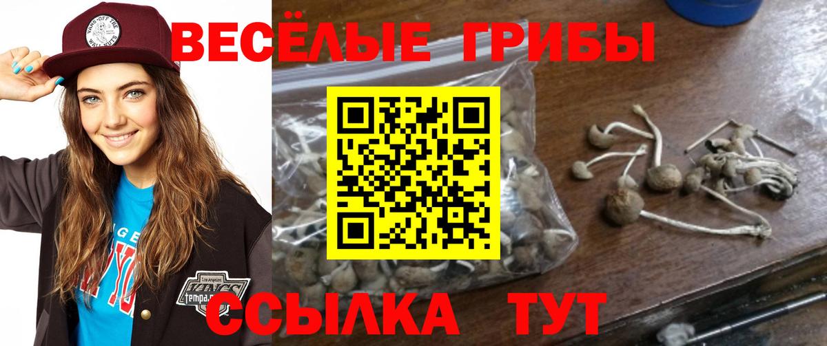 Галлюциногенные грибы ЛСД  Вход с VPN  Трёхгорный 